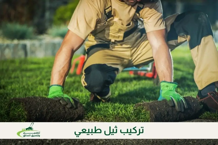 تركيب ثيل طبيعي