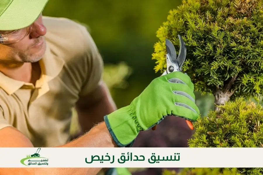 تنسيق حدائق رخيص