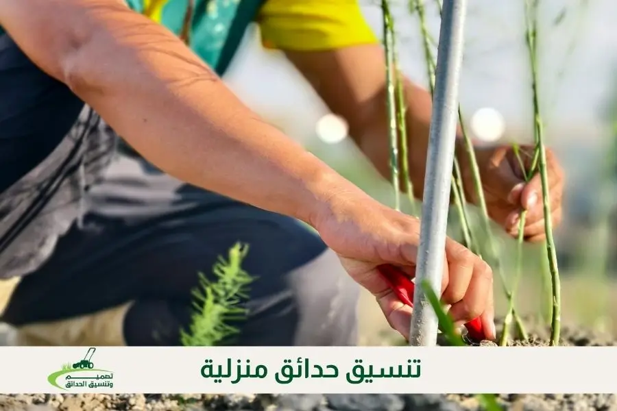 تنسيق حدائق منزلية