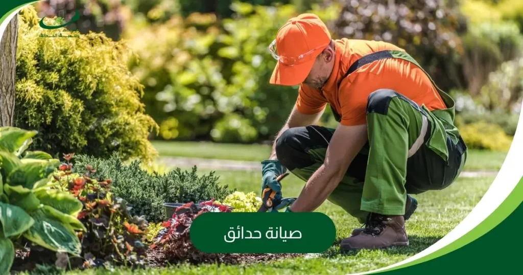 صيانة حدائق