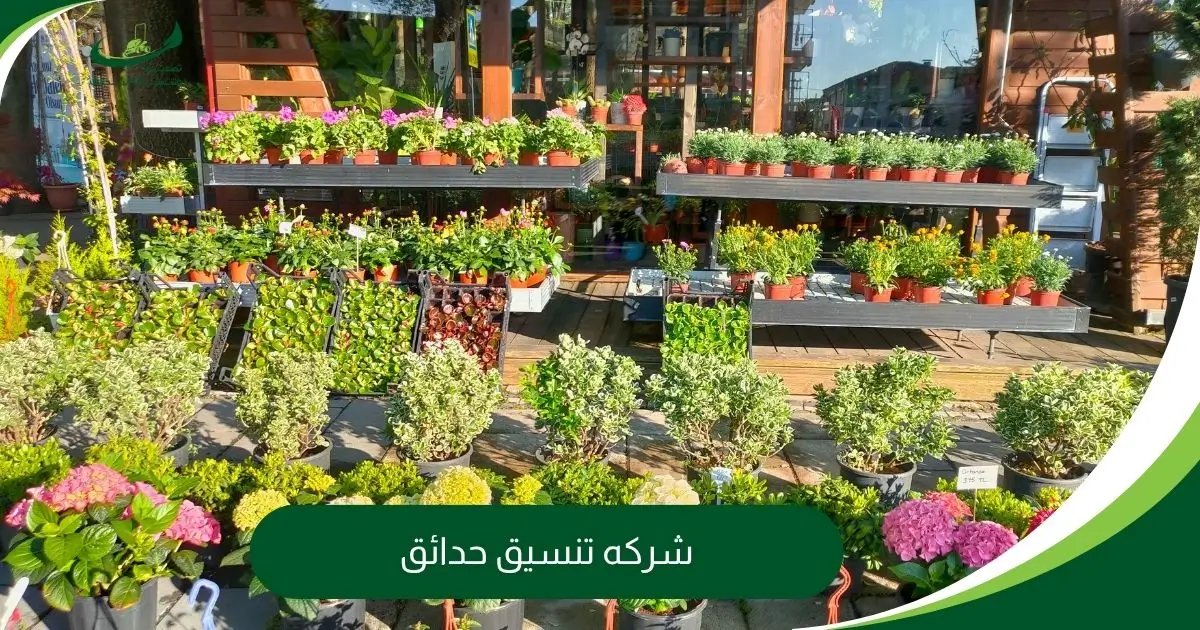 شركه تنسيق حدائق