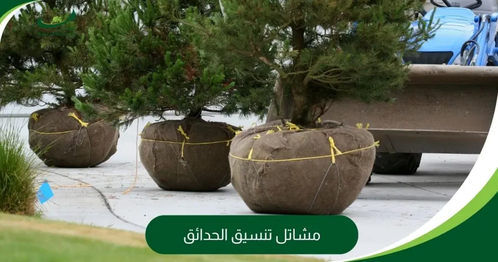 مشاتل تنسيق الحدائق