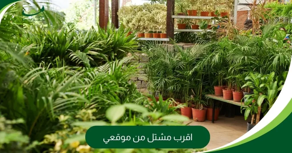اقرب مشتل من موقعي
