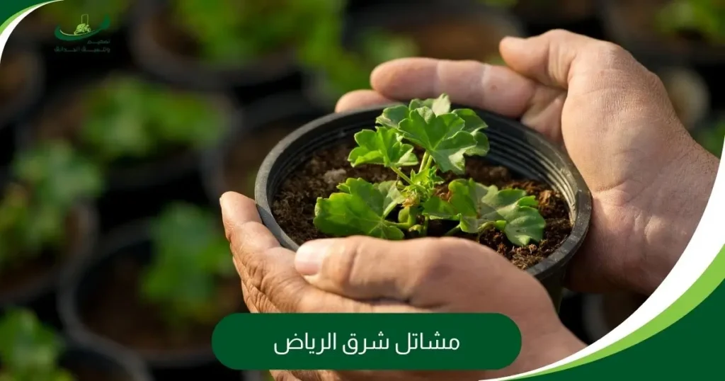 مشاتل شرق الرياض